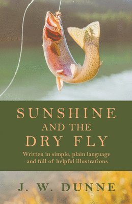 bokomslag Sunshine and the Dry Fly