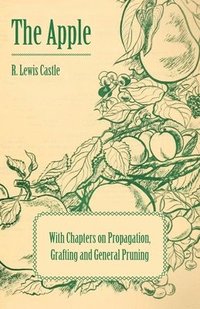 bokomslag The Apple - With Chapters on Propagation, Grafting and General Pruning