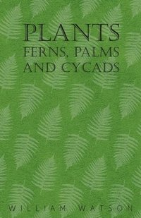 bokomslag Plants - Ferns, Palms and Cycads