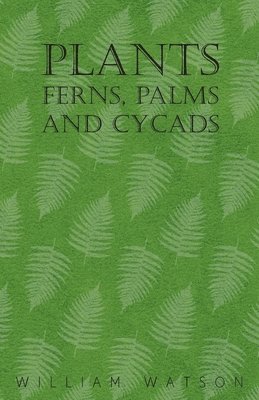 bokomslag Plants - Ferns, Palms and Cycads