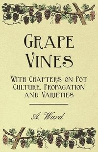 bokomslag Grape Vines - With Chapters on Pot Culture, Propagation and Varieties