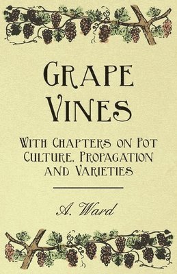 Grape Vines - With Chapters on Pot Culture, Propagation and Varieties 1