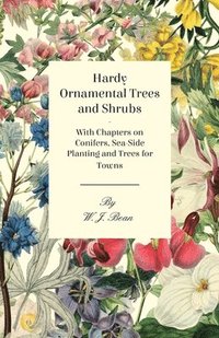 bokomslag Hardy Ornamental Trees and Shrubs - With Chapters on Conifers, Sea-side Planting and Trees for Towns