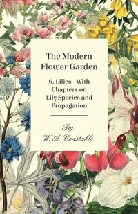 bokomslag The Modern Flower Garden 6. Lilies - With Chapters on Lily Species and Propagation