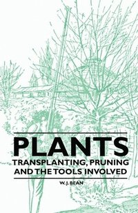 bokomslag Plants - Transplanting, Pruning and the Tools Involved