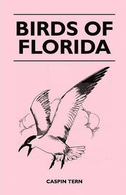 Birds of Florida 1