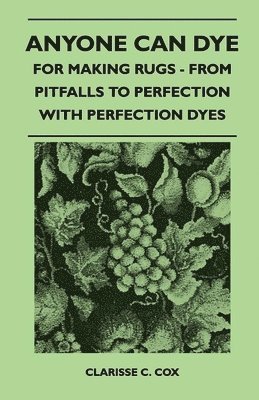 Anyone Can Dye - For Making Rugs - From Pitfalls to Perfection with Perfection Dyes 1