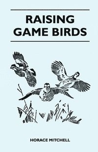 bokomslag Raising Game Birds
