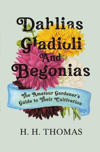 bokomslag Dahlias, Gladioli and Begonias - The Amateur Gardener's Guide to Their Cultivation