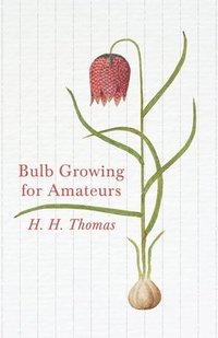 bokomslag Bulb Growing for Amateurs