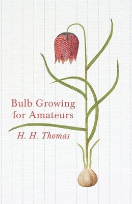 Bulb Growing for Amateurs 1