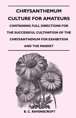 Chrysanthemum Culture For Amateurs 1