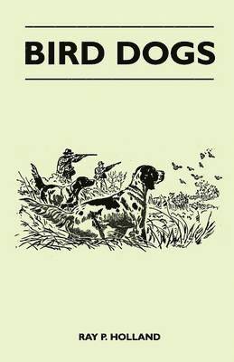 Bird Dogs 1