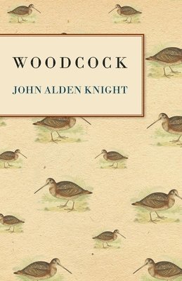 Woodcock 1