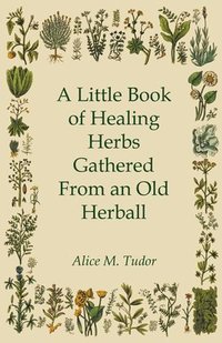bokomslag A Little Book of Healing Herbs Gathered From an Old Herball