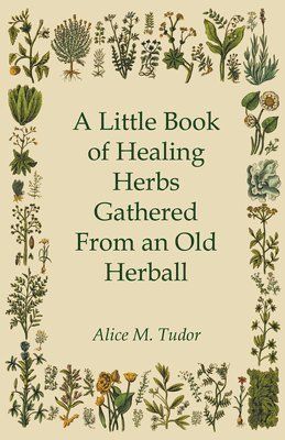 bokomslag A Little Book of Healing Herbs Gathered From an Old Herball