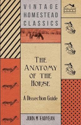 bokomslag The Anatomy of the Horse - A Dissection Guide