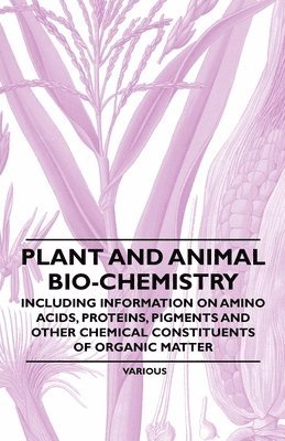 Various - Plant and Animal Bio-Chemistry - Including Information on Amino Acids, Proteins, Pigments and Other Chemical Constituents of Organic Matter, Häftad