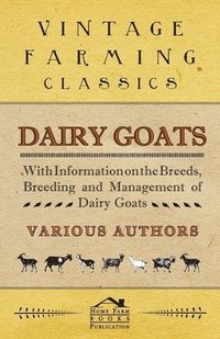 bokomslag Dairy Goats - With Information on the Breeds, Breeding and Management of Dairy Goats