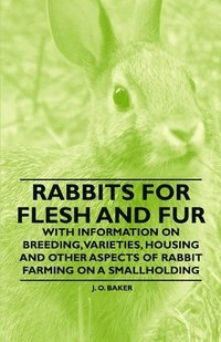 bokomslag Rabbits for Flesh and Fur - With Information on Breeding, Varieties, Housing and Other Aspects of Rabbit Farming on a Smallholding