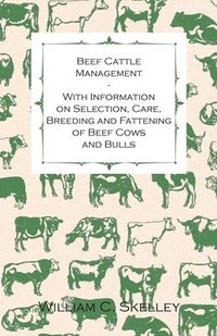 bokomslag Beef Cattle Management - With Information on Selection, Care, Breeding and Fattening of Beef Cows and Bulls