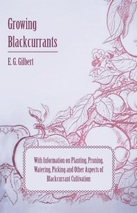 bokomslag Growing Blackcurrants - With Information on Planting, Pruning, Watering, Picking and Other Aspects of Blackcurrant Cultivation