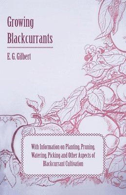 Growing Blackcurrants - With Information on Planting, Pruning, Watering, Picking and Other Aspects of Blackcurrant Cultivation 1