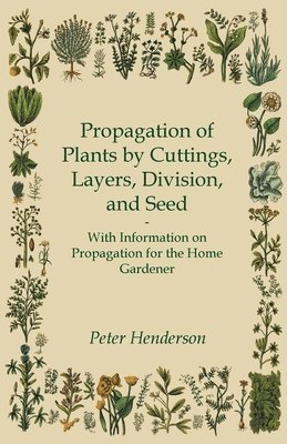 Peter Henderson - Propagation of Plants by Cuttings, Layers, Division, and Seed - With Information on Propagation for the Home Gardener, Häftad