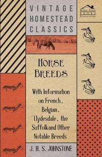 bokomslag Horse Breeds - With Information on French, Belgian, Clydesdale, the Suffolk and Other Notable Breeds