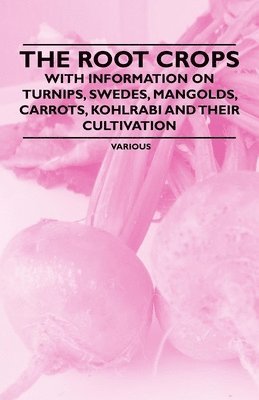 The Root Crops - With Information on Turnips, Swedes, Mangolds, Carrots, Kohlrabi and Their Cultivation 1