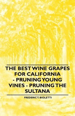 The Best Wine Grapes for California - Pruning Young Vines - Pruning the Sultana 1