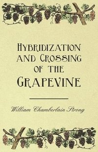 bokomslag Hybridization and Crossing of the Grapevine