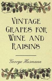 bokomslag Vintage Grapes for Wine and Raisins