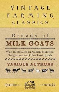 bokomslag Breeds of Milk Goats - With Information on Nubian, Murciene, Toggenburg and Other Goat Breeds
