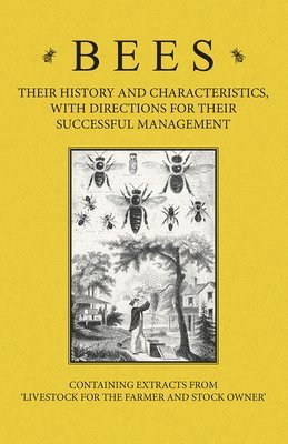 bokomslag Bees - Their History and Characteristics, With Directions for Their Successful Management - Containing Extracts from Livestock for the Farmer and Stock Owner