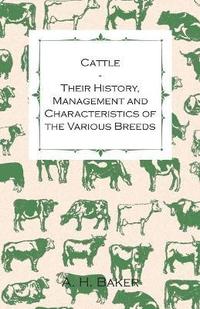 bokomslag Cattle - Their History, Management and Characteristics of the Various Breeds - Containing Extracts from Livestock for the Farmer and Stock Owner