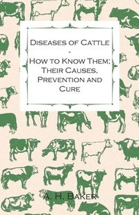 bokomslag Diseases of Cattle - How to Know Them; Their Causes, Prevention and Cure - Containing Extracts from Livestock for the Farmer and Stock Owner
