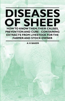 bokomslag Diseases of Sheep - How to Know Them; Their Causes, Prevention and Cure - Containing Extracts from Livestock for the Farmer and Stock Owner