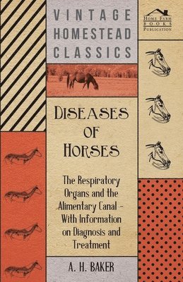 bokomslag Diseases of Horses - The Respiratory Organs and the Alimentary Canal - With Information on Diagnosis and Treatment