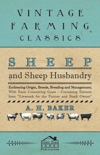 bokomslag Sheep and Sheep Husbandry - Embracing Origin, Breeds, Breeding and Management; With Facts Concerning Goats - Containing Extracts from Livestock for the Farmer and Stock Owner