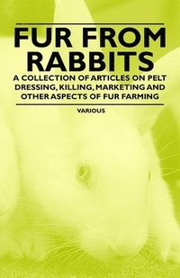 bokomslag Fur from Rabbits - A Collection of Articles on Pelt Dressing, Killing, Marketing and Other Aspects of Fur Farming