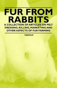 bokomslag Fur from Rabbits - A Collection of Articles on Pelt Dressing, Killing, Marketing and Other Aspects of Fur Farming