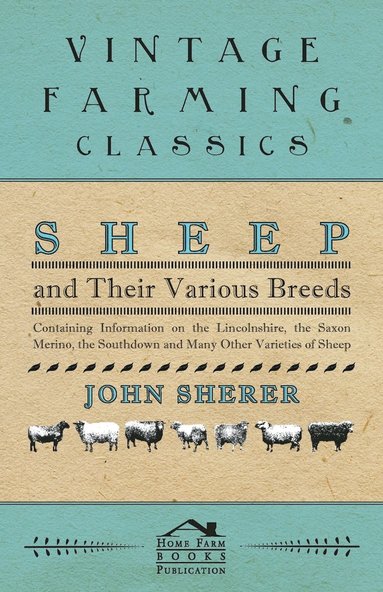 bokomslag Sheep and Their Various Breeds - Containing Information on the Lincolnshire, the Saxon Merino, the Southdown and Many Other Varieties of Sheep