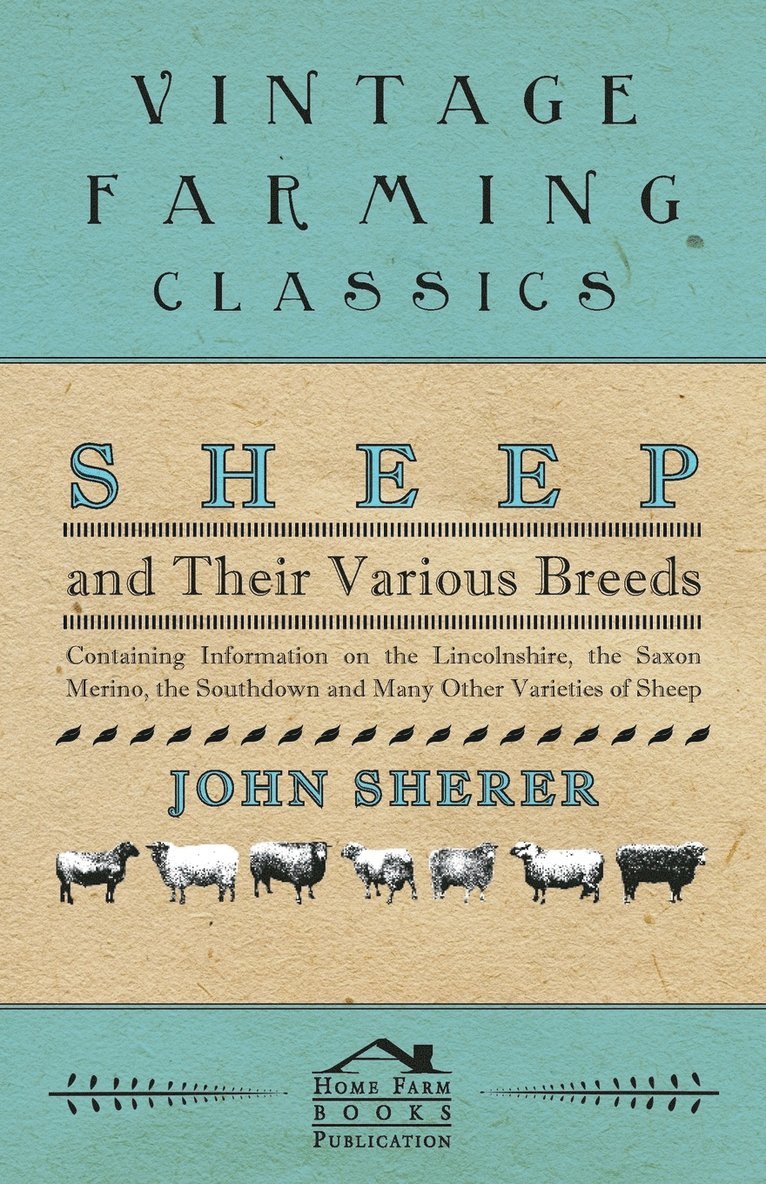 Sheep and Their Various Breeds - Containing Information on the Lincolnshire, the Saxon Merino, the Southdown and Many Other Varieties of Sheep