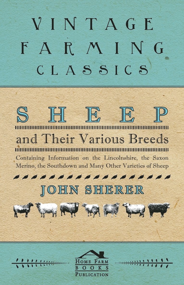 Sheep and Their Various Breeds - Containing Information on the Lincolnshire, the Saxon Merino, the Southdown and Many Other Varieties of Sheep 1