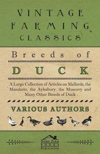 bokomslag Breeds of Duck - A Large Collection of Articles on Mallards, the Mandarin, the Aylesbury, the Muscovy and Many Other Breeds of Duck
