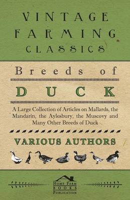 bokomslag Breeds of Duck - A Large Collection of Articles on Mallards, the Mandarin, the Aylesbury, the Muscovy and Many Other Breeds of Duck