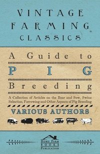 bokomslag A Guide to Pig Breeding - A Collection of Articles on the Boar and Sow, Swine Selection, Farrowing and Other Aspects of Pig Breeding
