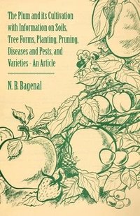 bokomslag The Plum and Its Cultivation with Information on Soils, Tree Forms, Planting, Pruning, Diseases and Pests, and Varieties - An Article