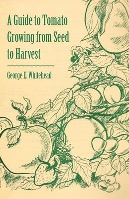 George E. Whitehead - Guide to Tomato Growing from Seed to Harvest, Häftad